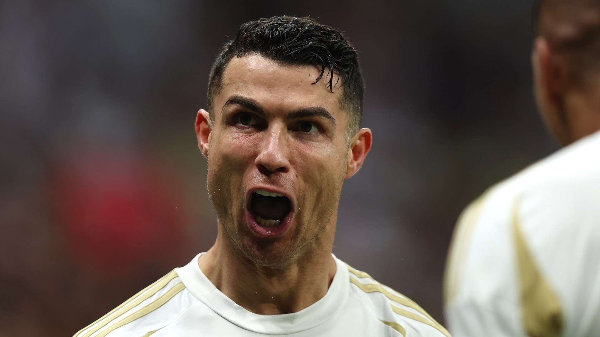 帶回總冠軍 帶回總冠軍