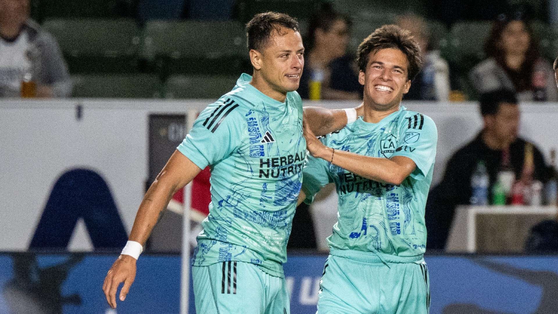 的独特魅力 的独特魅力