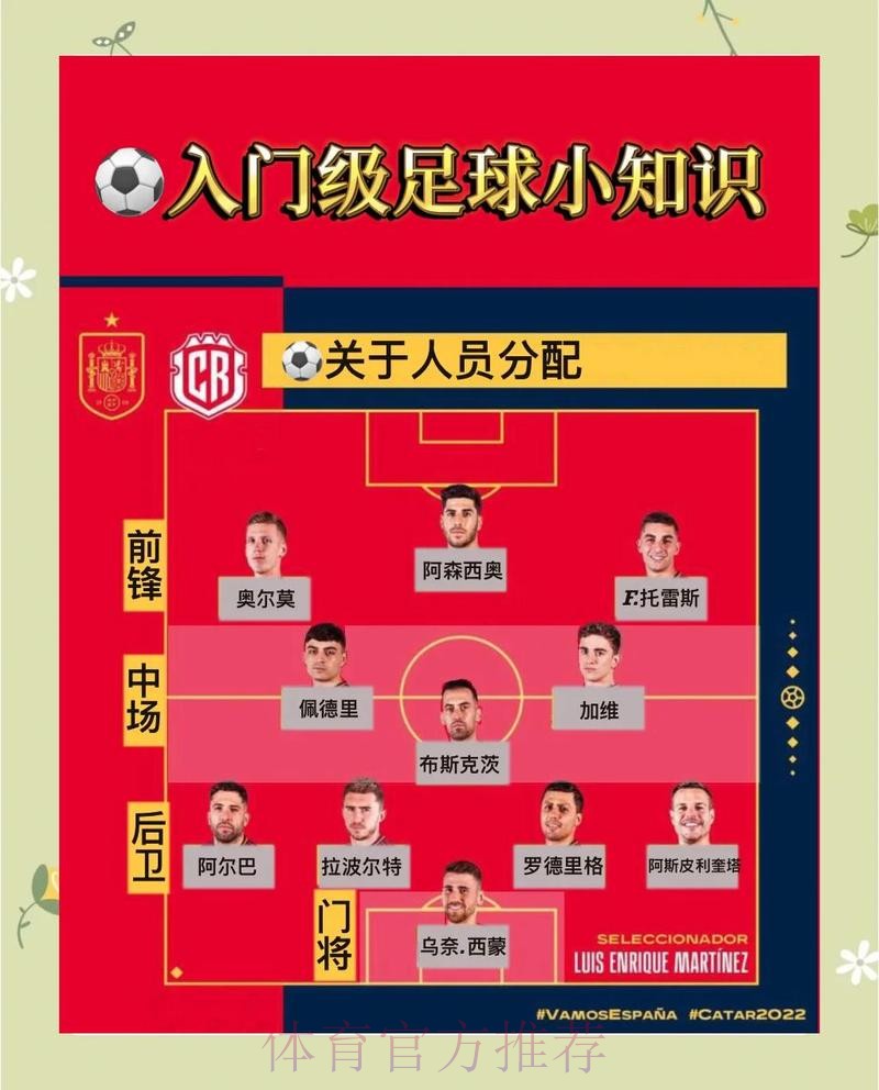 深入解析世界杯投注高清技巧与策略